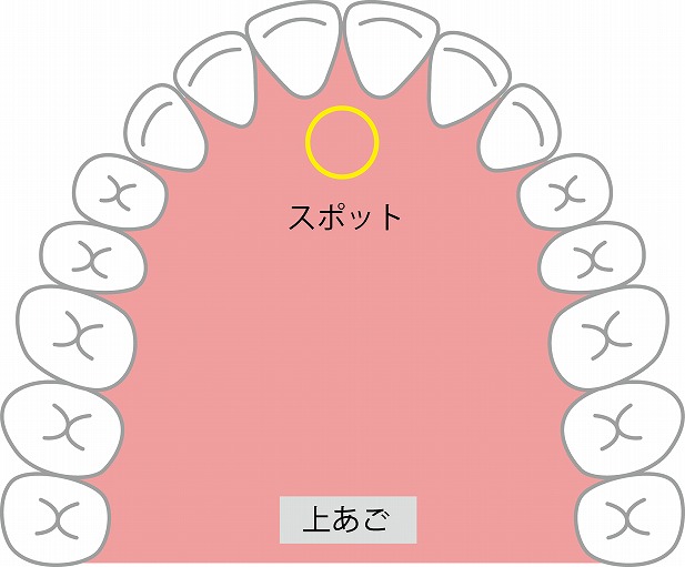 舌先がスポットにある