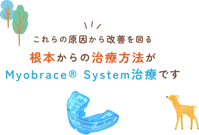 これらの原因から改善を図る根本からの治療方法がMyobrace® System治療です